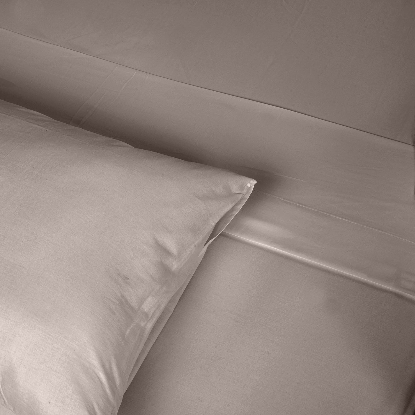 Renee Taylor 1500 Thread Count Cotton Blend Sheet Set - King - Stone