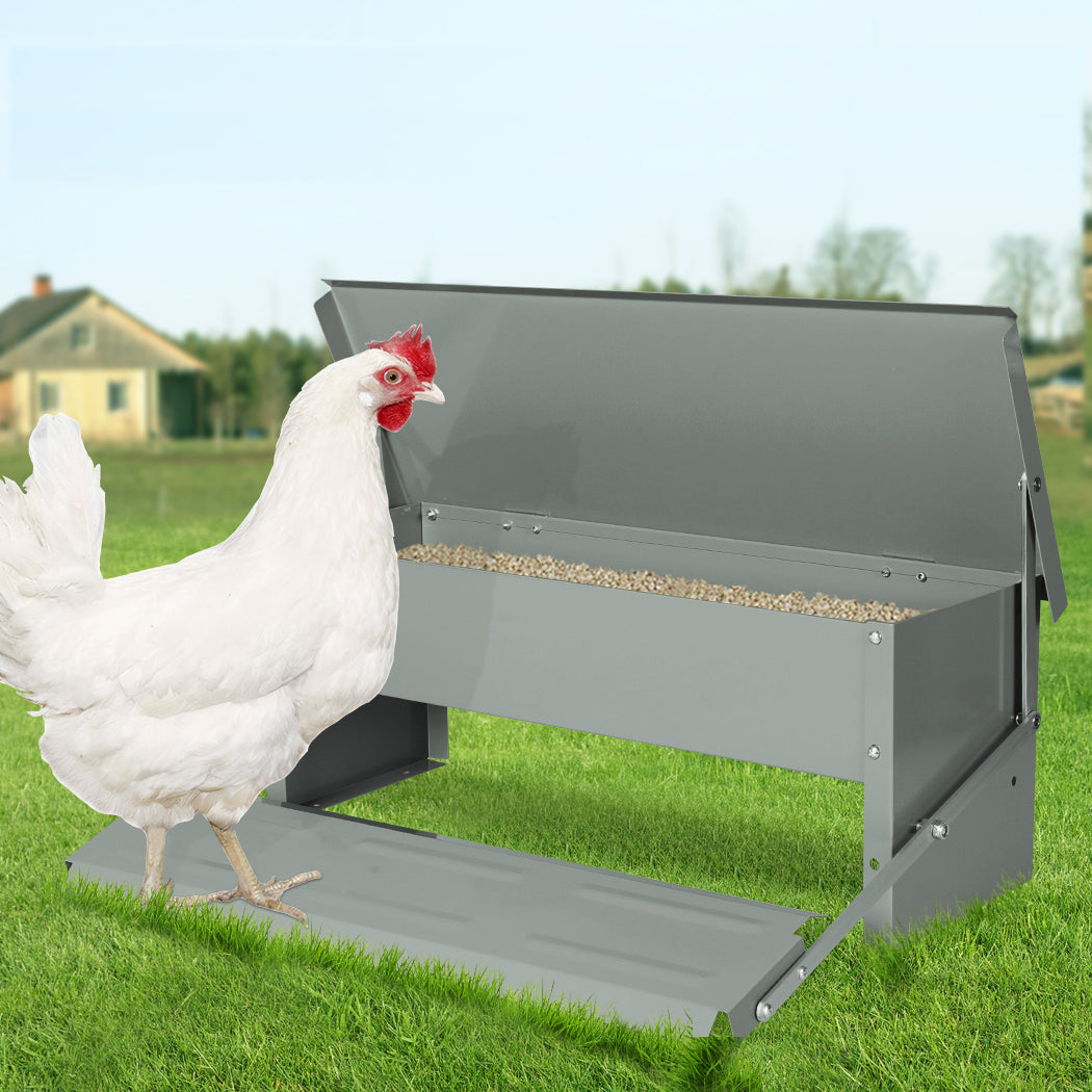 PaWz 5KG Auto Automatic Chicken Feeder-1942353126233346054
