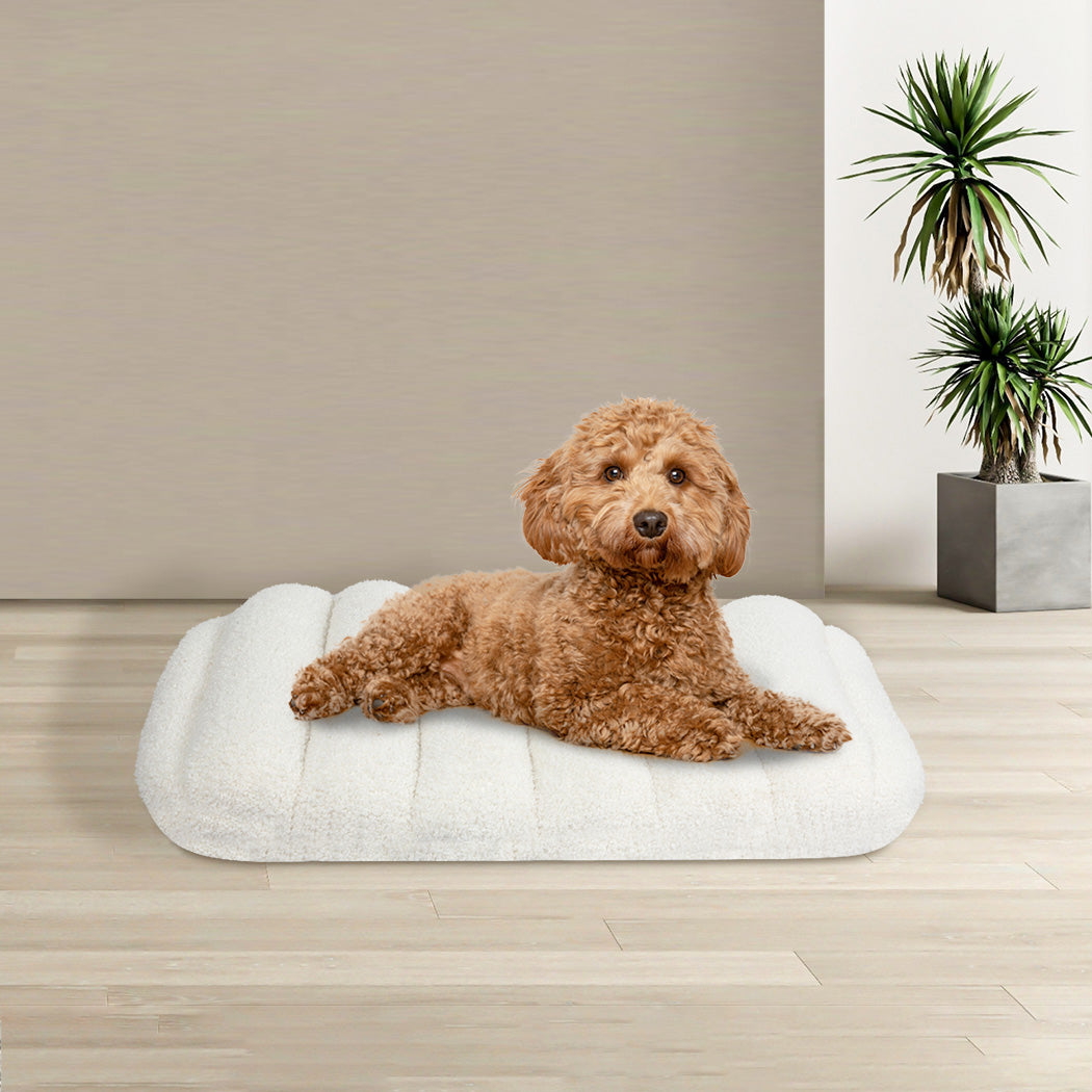 Pawz S Size Orthopedic Dog Bed with Sherpa Plush Removable Cover in White-1942353721719656454