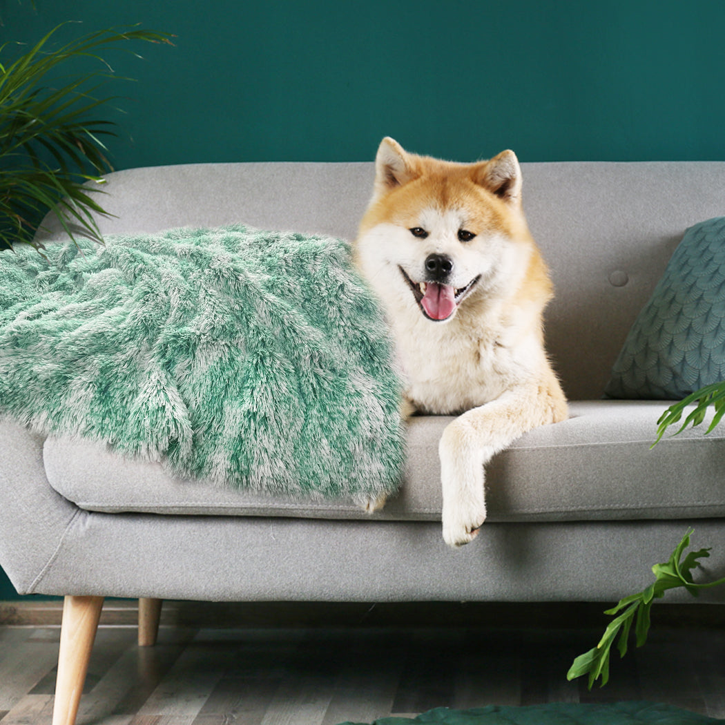 PaWz Dog Blanket Pet Cat Mat Puppy Warm Teal-1942352738667073542