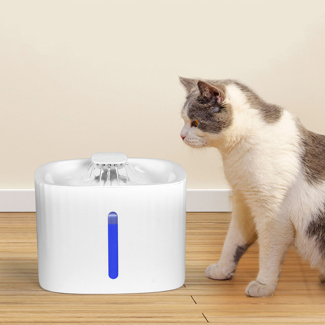 PAWZ Pet Water Fountain-1942353633509249030