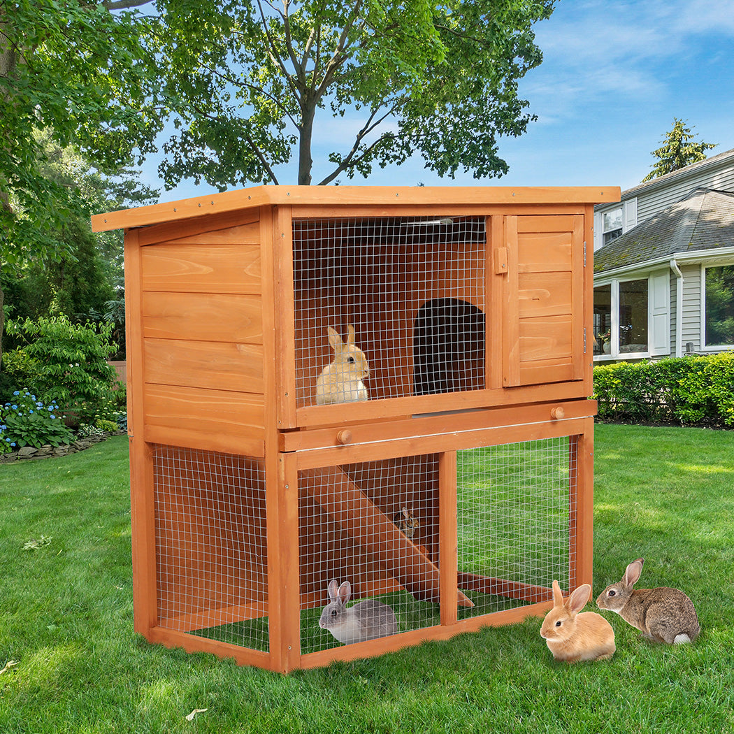Pawz Rabbit Hutch-1942353674399518726