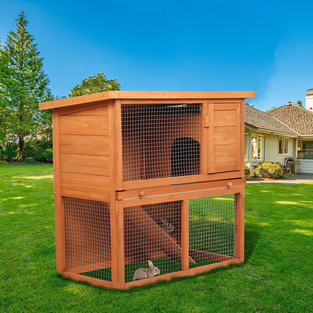 Pawz Rabbit Hutch-1942353674399518727