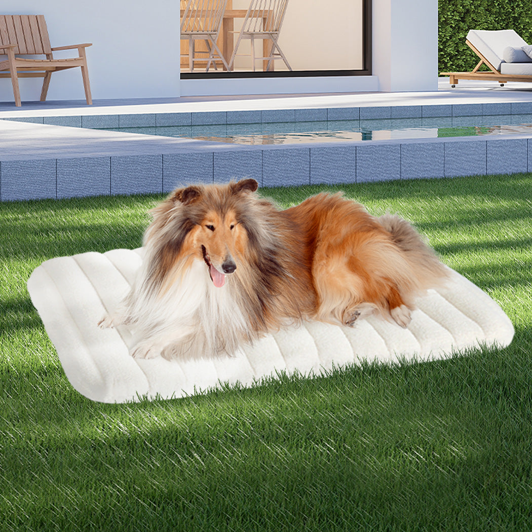 Pawz XL Size Orthopedic Dog Bed with Sherpa Plush Removable Cover in White-1942353722130698247