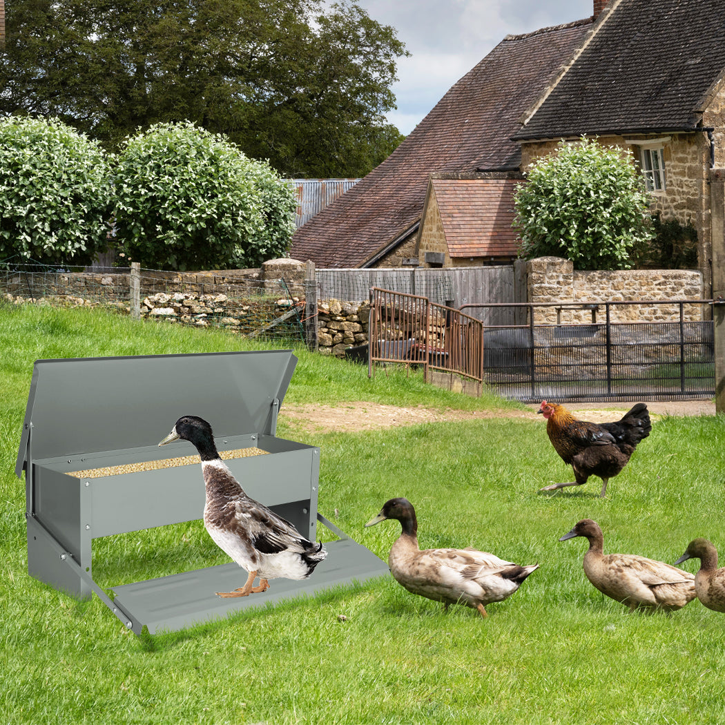 PaWz 10KG Auto Automatic Chicken Feeder-1942353126405312519