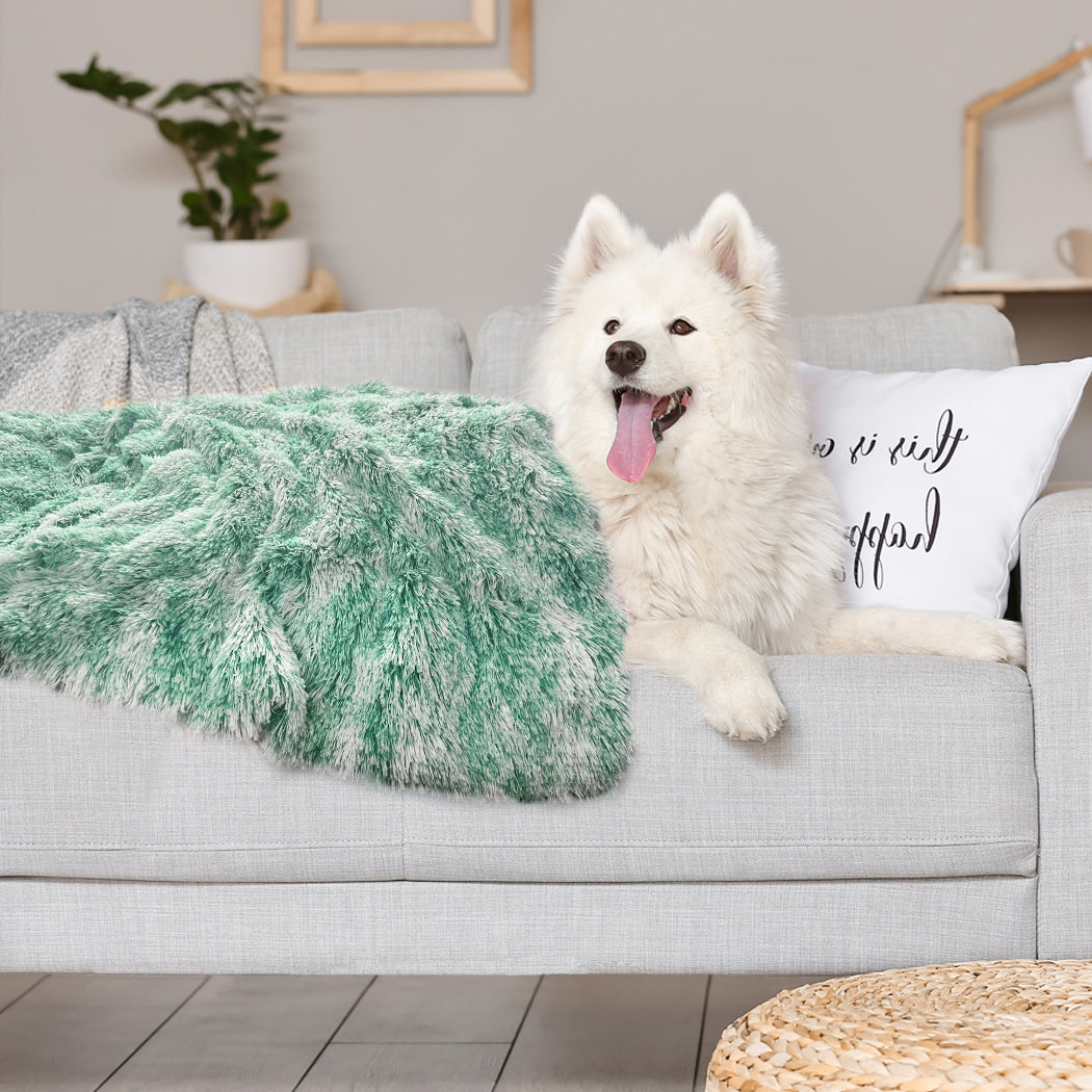 PaWz Dog Blanket Pet Cat Mat Puppy Warm Teal-1942352738667073543