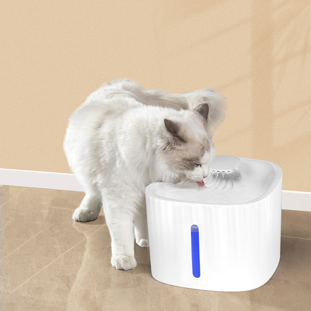 PAWZ Pet Water Fountain-1942353633509249031