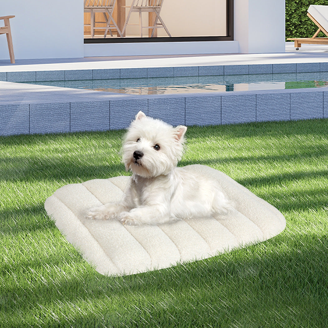 Pawz S Size Orthopedic Dog Bed with Sherpa Plush Removable Cover in White-1942353721719656455