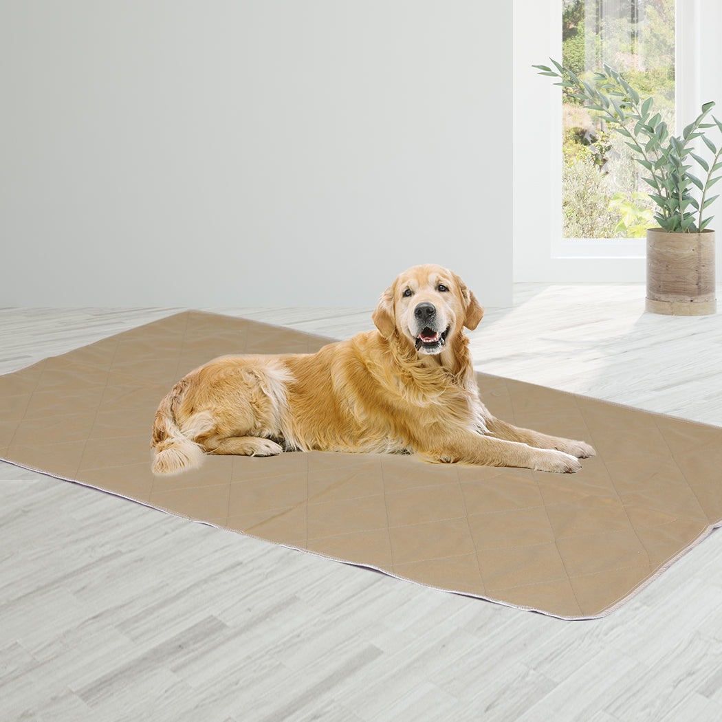 PaWz 4 Pcs 120x120 cm Reusable Waterproof JUMBO-1942353114870976519