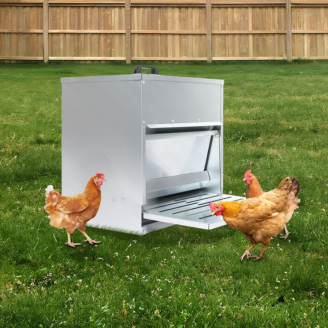 PaWz 10KG Auto Chicken Feeder Dispenser Galvanised Steel-1942353692590215175