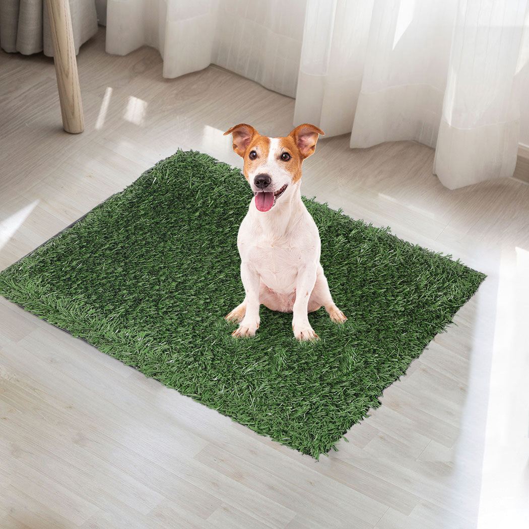 PaWz Grass Potty Dog Pad Training Pet Medium-1942353082222514183