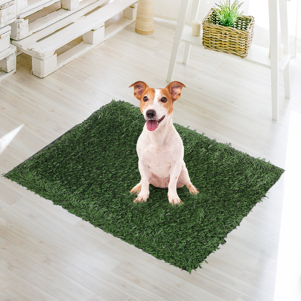 PaWz Grass Potty Dog Pad Training Pet Medium-1942353082222514182