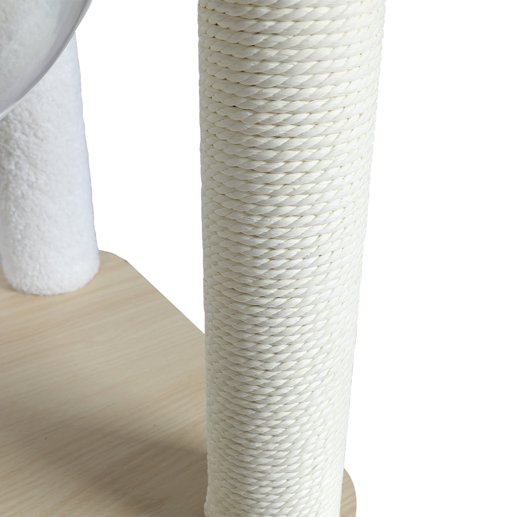 PaWz Cat Tree Scratching Post Scratcher-1942352753871425541