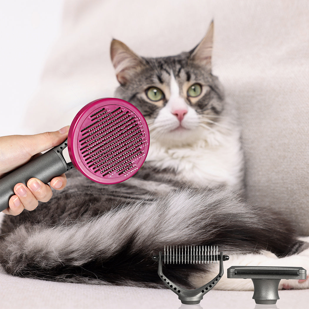 PaWz Pet Grooming Tools-1942352769390350342