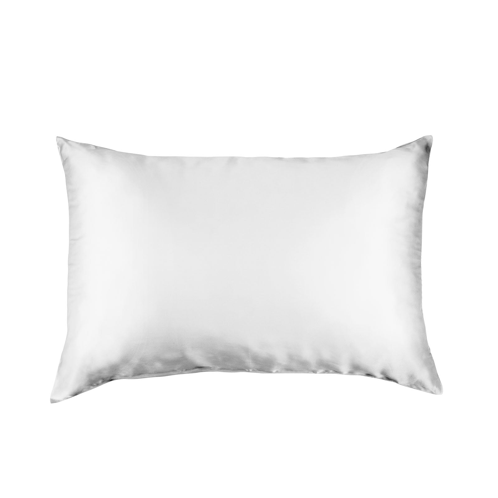 Pure Silk Pillow Case by Royal Comfort-Silver