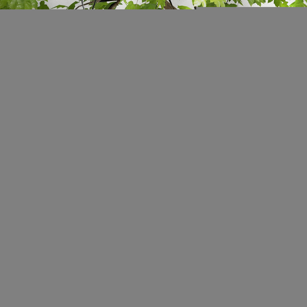 PaWz 3x Bird Feeder Hanging Wild Seed-1942353632607473670