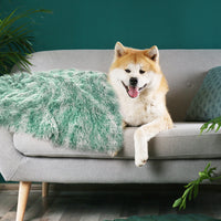 PaWz Dog Blanket Pet Cat Mat Puppy Warm Teal-1942352738667073542