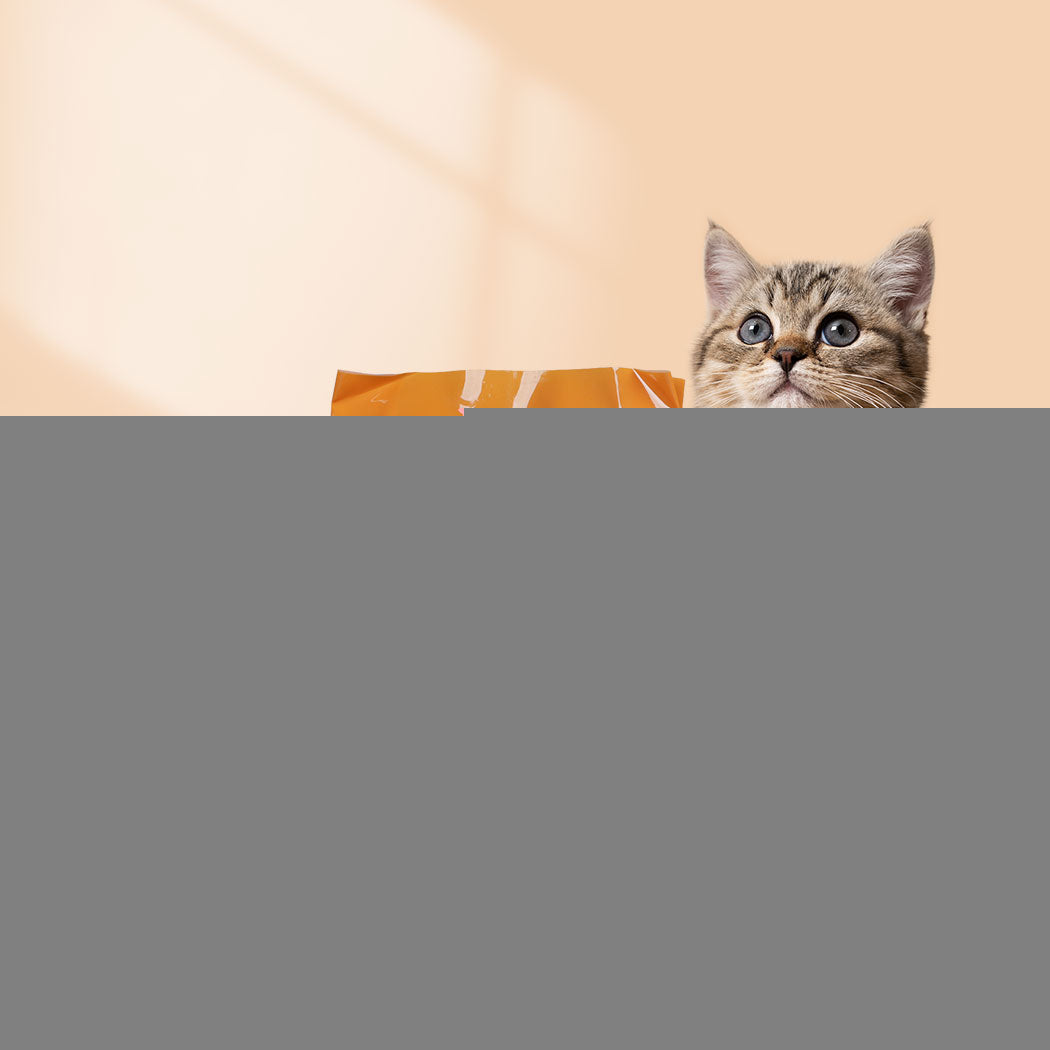 PaWz 2.5kg Tofu Cat Litter Clumping Natural-1942352760485842950