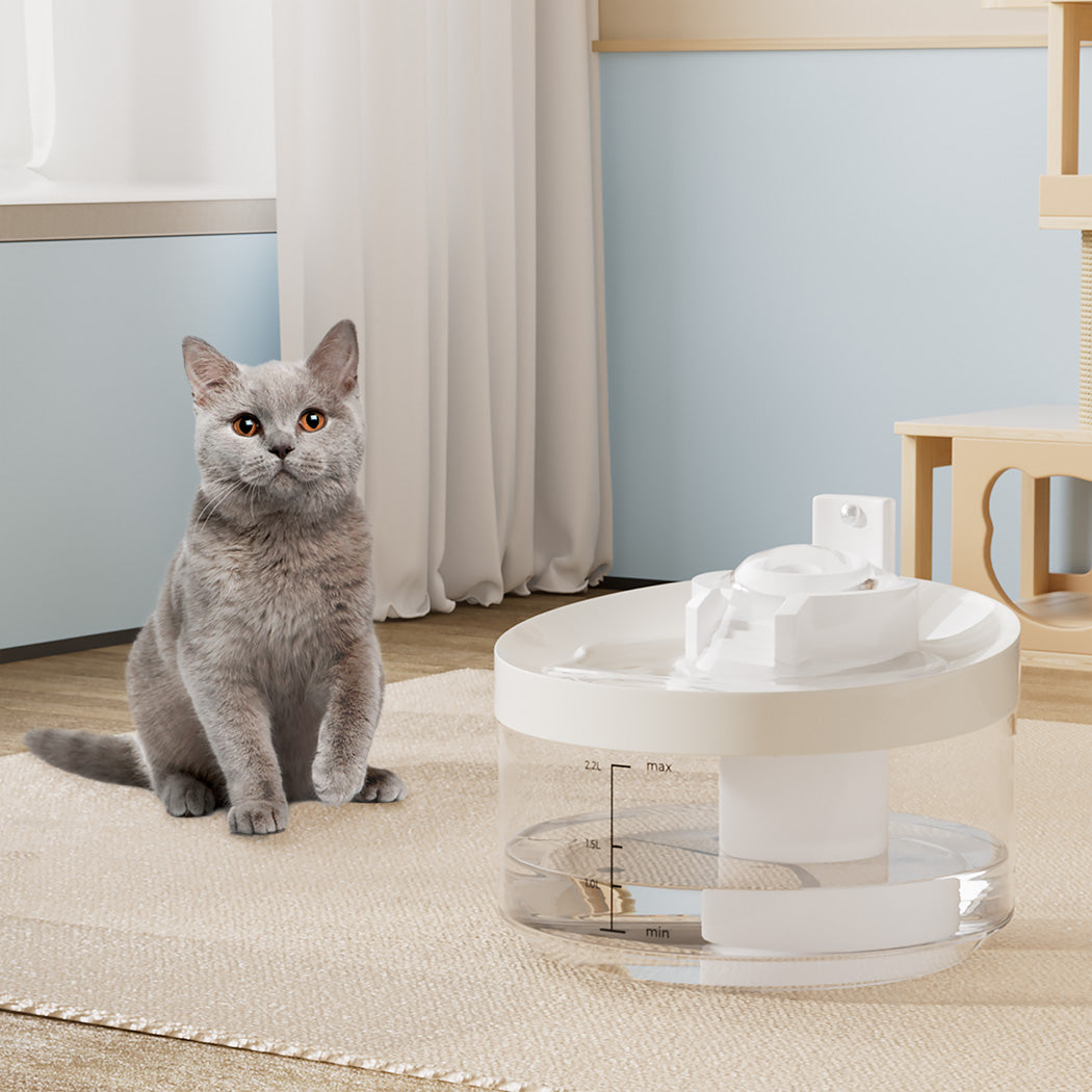 Pawz Automatic Sensor Pet Water Fountain Dog Cat Drinking Dispenser 2.2L Filter-1942353632796217350
