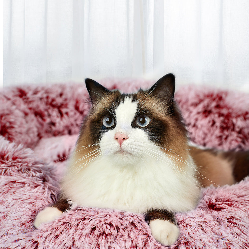 PaWz Pet Bed Memory Foam Dog Donut Pink X-Large-1942352767322558470