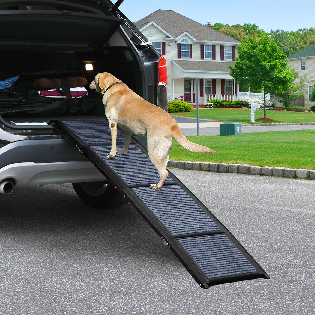 Pawz Dog Ramp-1942353666371620870