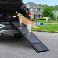 Pawz Dog Ramp-1942353666371620870