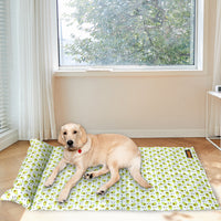 PaWz Pet Cooling Mat Cat Dog Gel Non-Toxic X-Large-1942352749228331015