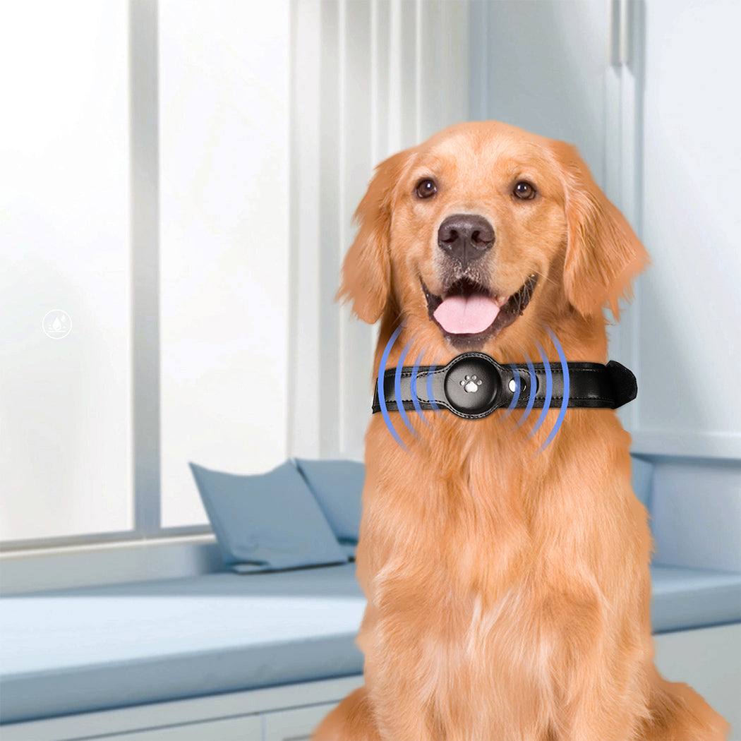 PaWz Bluetooth Pet Tracker Collar Dog Black-1942352759441461255