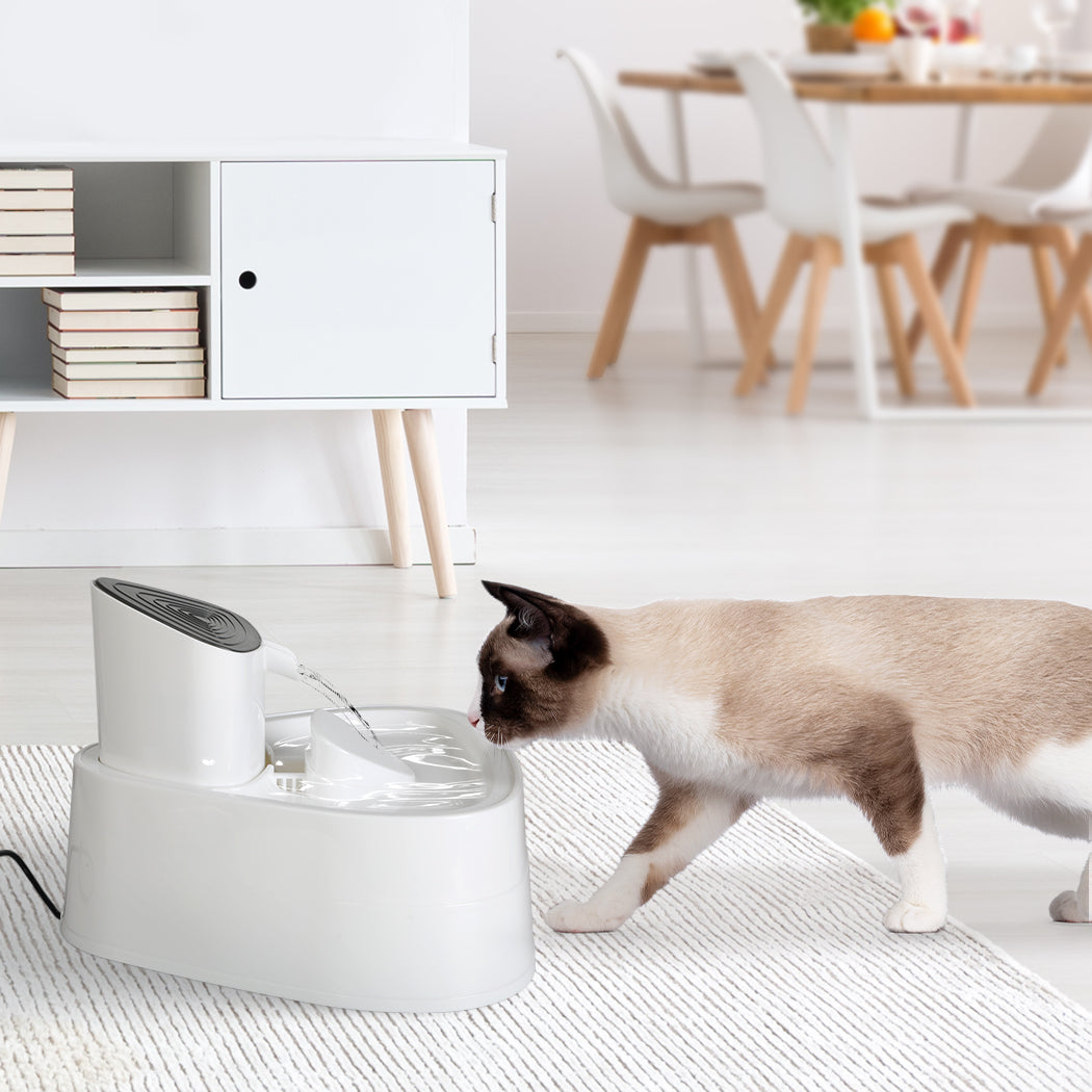 PaWz Electric Pet Water Fountain Drinking-1942352761987403782