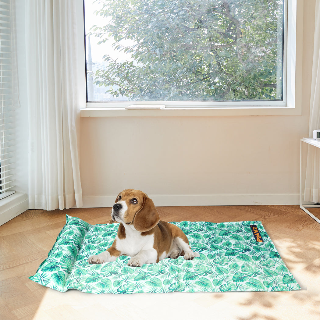 PaWz Pet Cooling Mat Cat Dog Gel Non-Toxic Medium-1942352749563875335