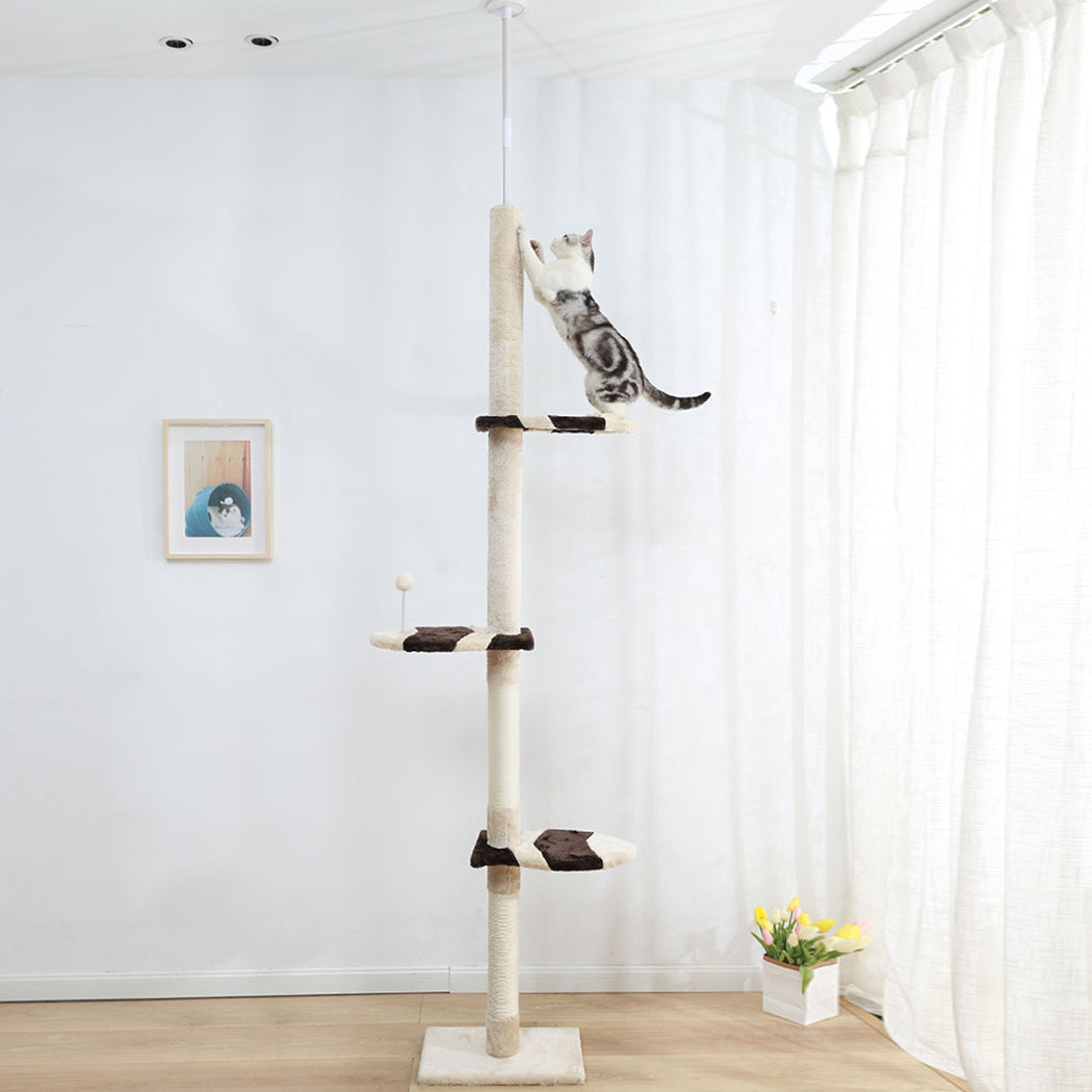 PaWz Cat Scratching Post Tree Condo Beige-1942352735965941767