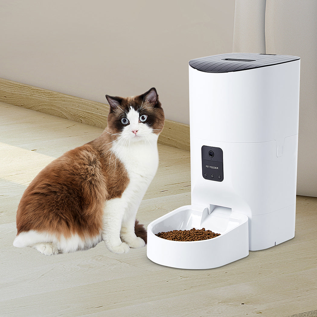 PaWz 6L Auto Feeder Pet Automatic Camera