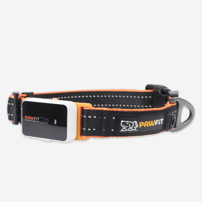 Pawfit 3 Collar Large-1869883042399653888