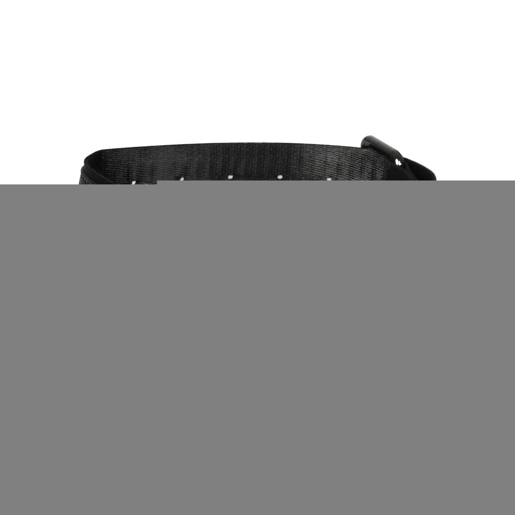PaWz Bluetooth Pet Tracker Collar Dog Black-1942352759441461248