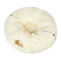 Pawz Cat Tunnel Foldable Fluffy Plush Play Tube Beige-1942353692070121473