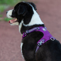 True Love Lightweight Reflective Harness - Purple` 2XS