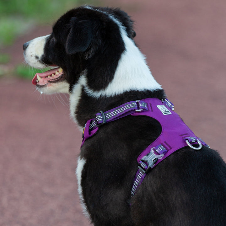 True Love Lightweight Reflective Harness - Purple` XS