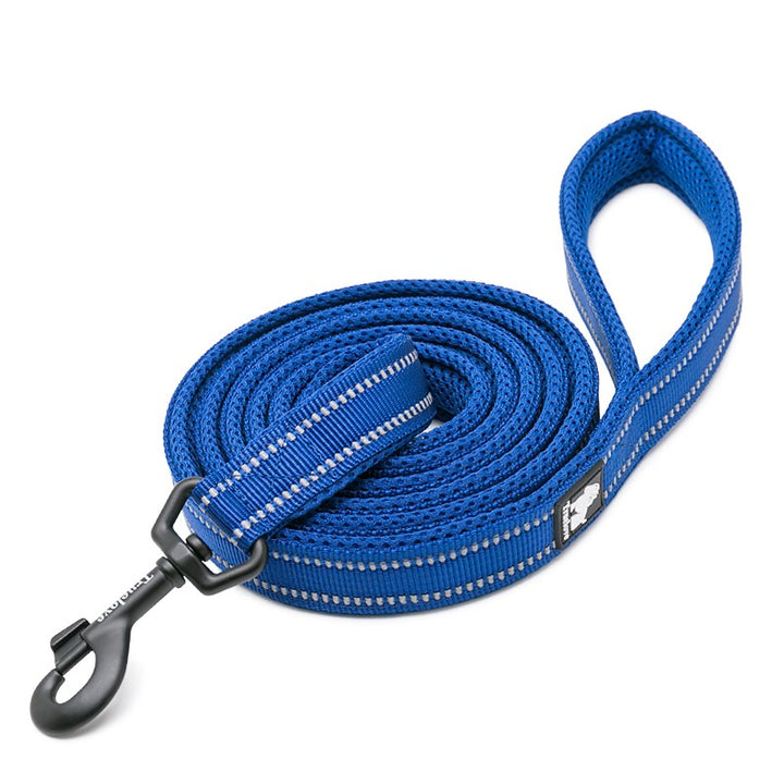 True Love Reflective Pet Leash 2m - Royal Blue` XS