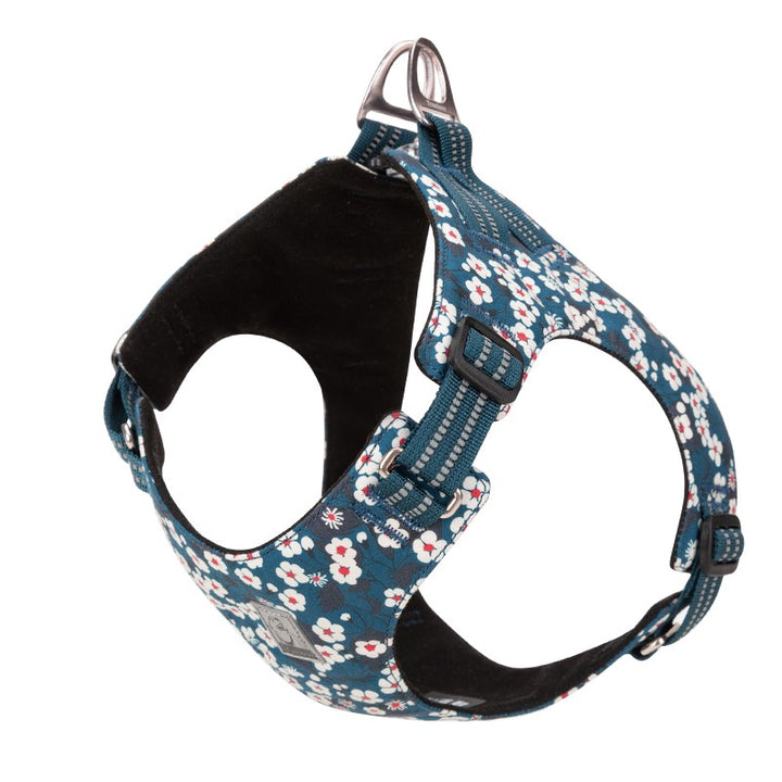 True Love Floral Doggy Harness - Blue` XS