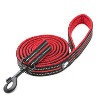 True Love Reflective Pet Leash 2m - Red` L