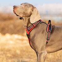 True Love No Pull Explosion Proof Dog Harness - Red` M