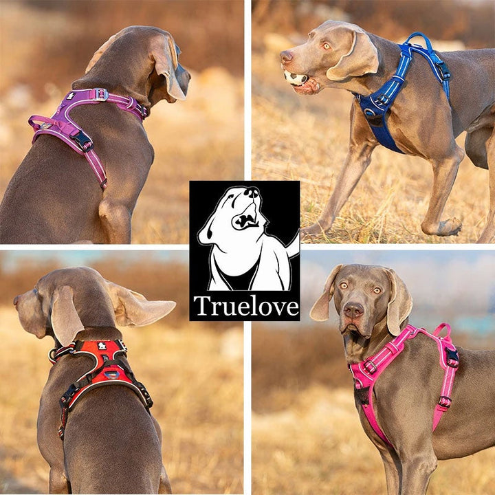 True Love No Pull Explosion Proof Dog Harness - Grey` M