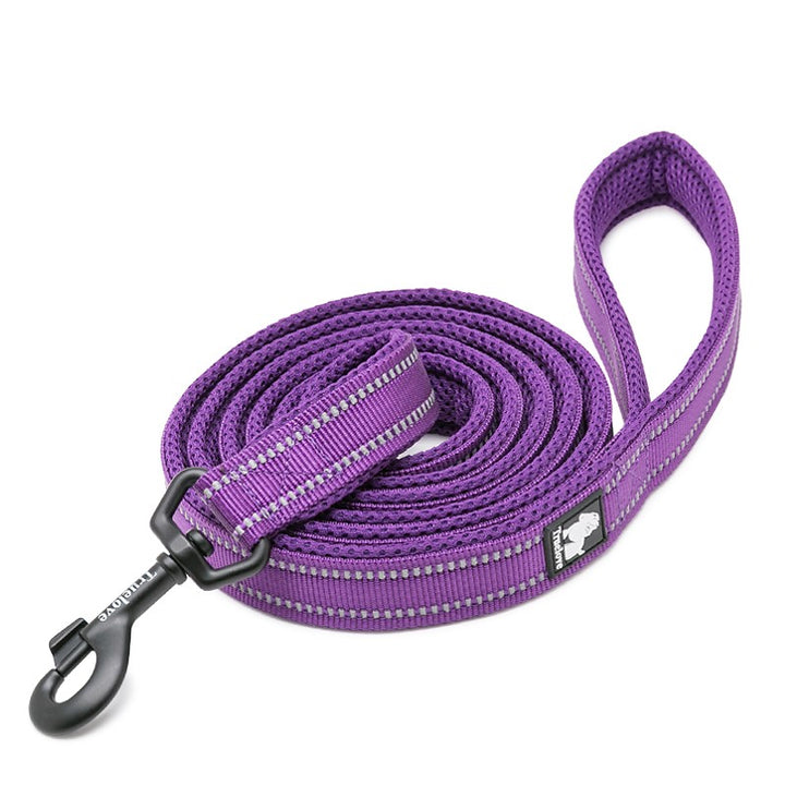 True Love Reflective Pet Leash 2m - Purple` XS