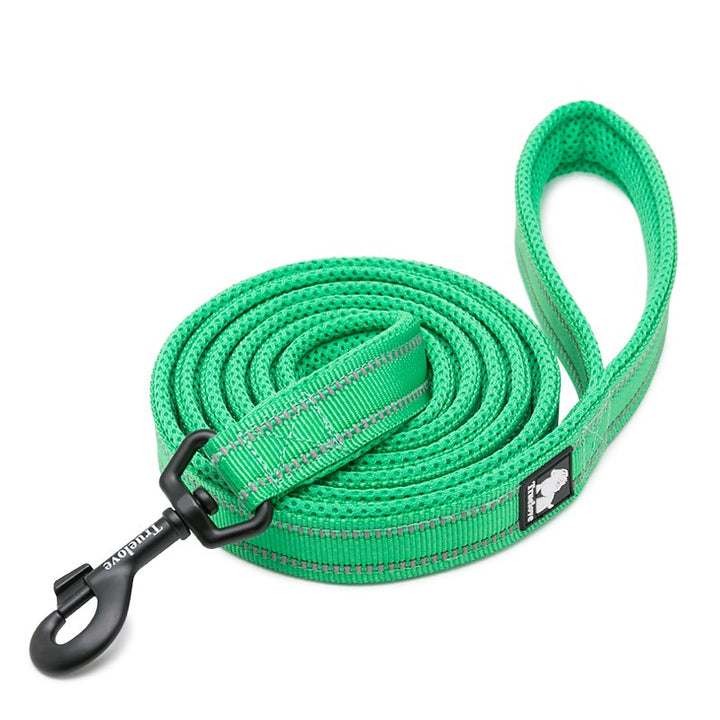 True Love Reflective Pet Leash 2m - Green` L