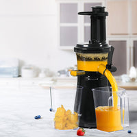 Spector Cold Press Slow Juicer Electric Black