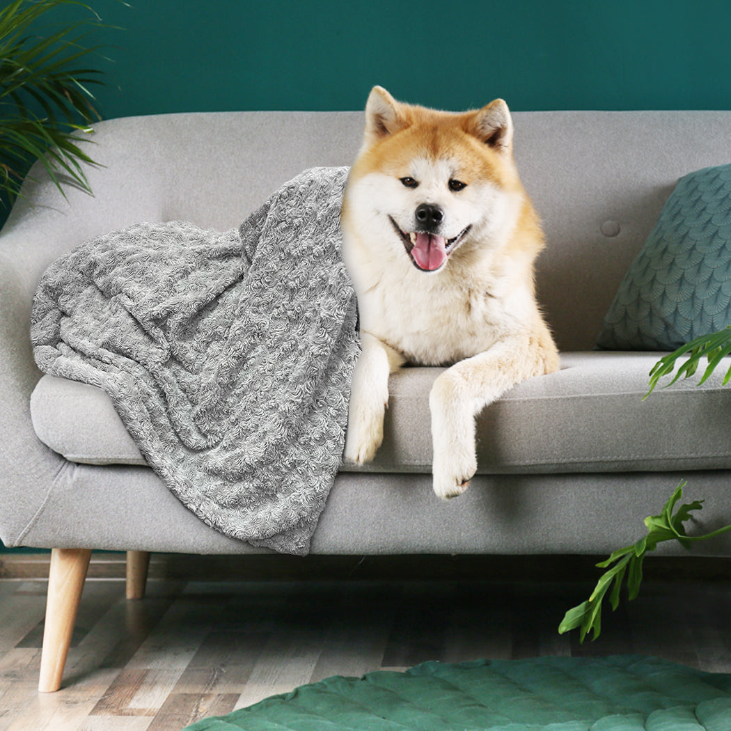 PaWz Dog Blanket Pet Sofa Protector