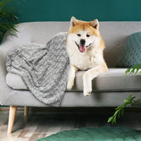 PaWz Dog Blanket Pet Sofa Protector