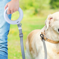 PaWz LED Dog Leash Lead Walking Rope White