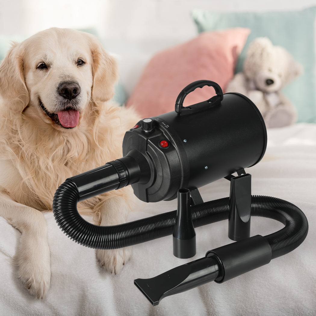 Dog Cat Pet Hair Dryer Grooming Blow Black