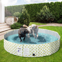 PaWz 160cm Portable Pet Swimming Pool XXL XX-Large